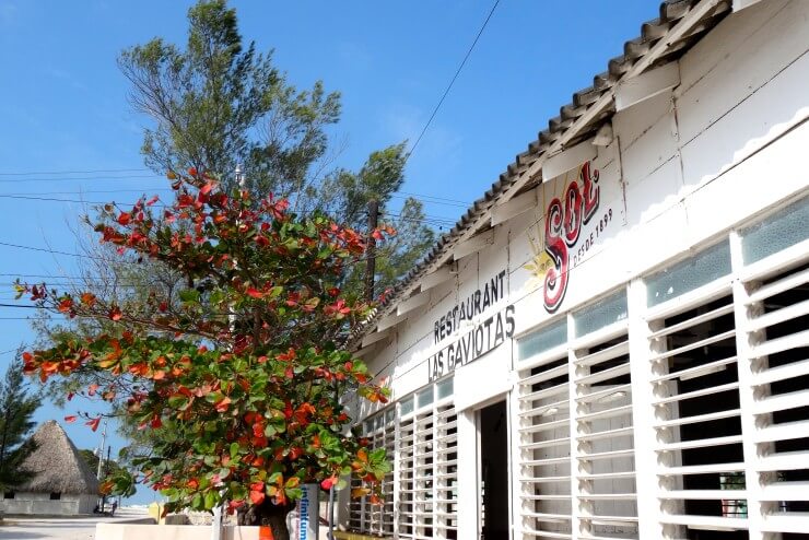 Las Coloradas, Yucatán, Restaurant Las Gaviotas