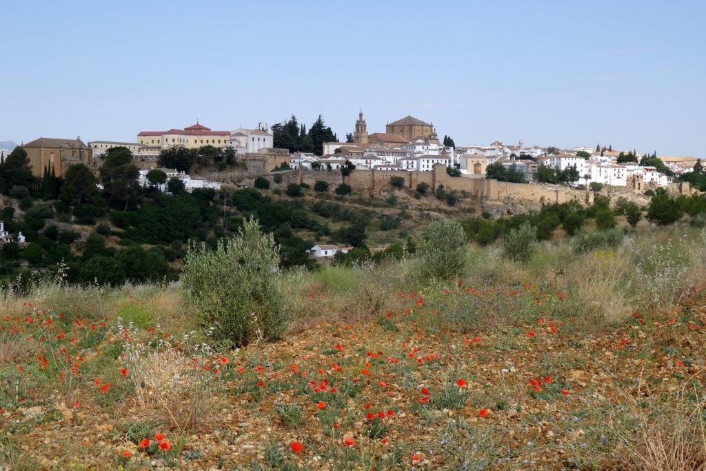 Landschaft außerhalb von Ronda