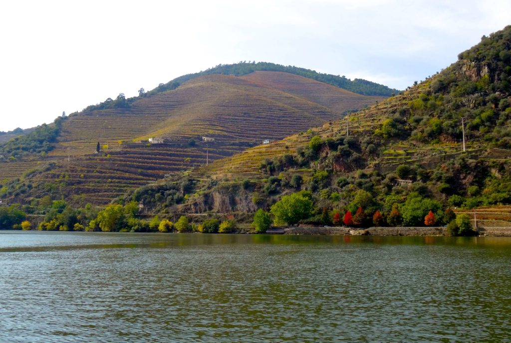 Douro-Tal: Blick aus dem Boot