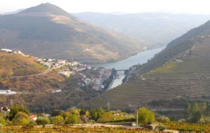 Douro-Tal. Blick von oben auf Pinhão.