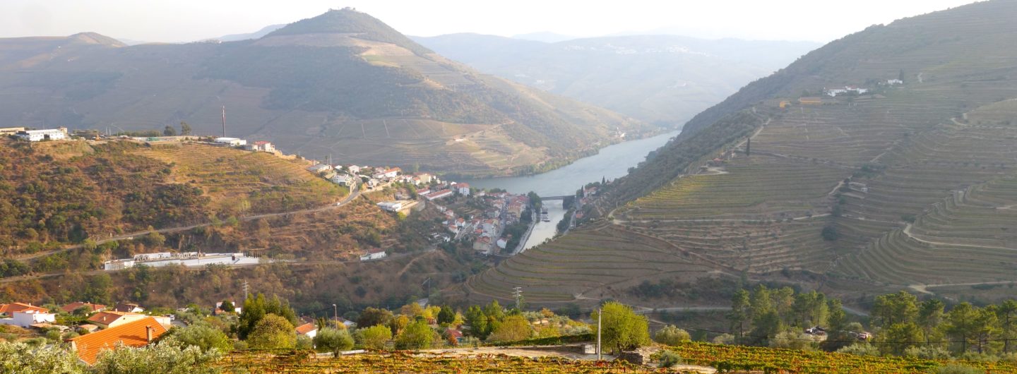 Douro-Tal. Blick von oben auf Pinhão.