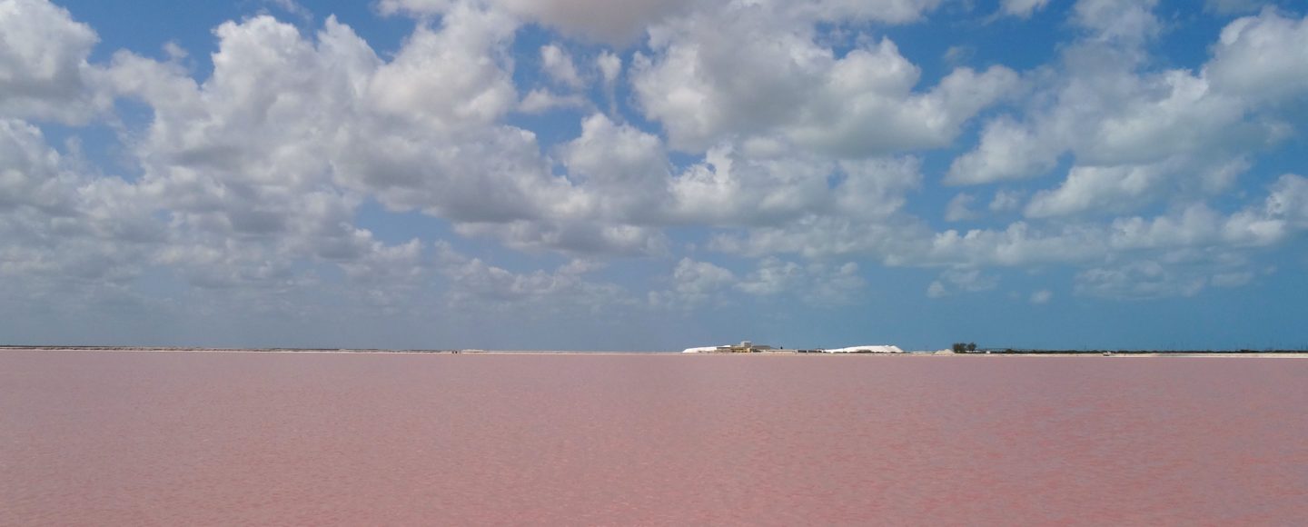 Las Coloradas, Mexiko. Pinkfarbener Salzsee.