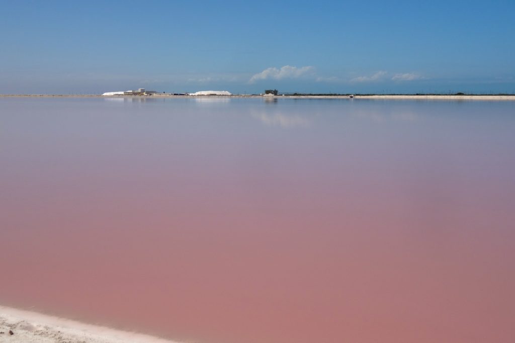 Pinkfarbenes Wasser und blauer Himmel, die Farben von Las Coloradas, Mexiko.