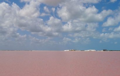 Las Coloradas, Mexiko. Pinkfarbener Salzsee.