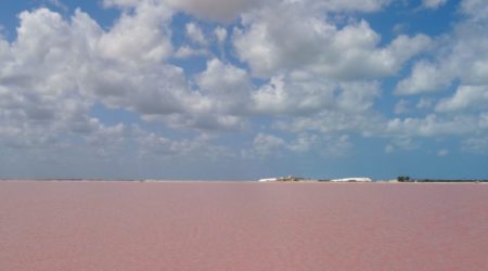 Las Coloradas, Mexiko. Pinkfarbener Salzsee.