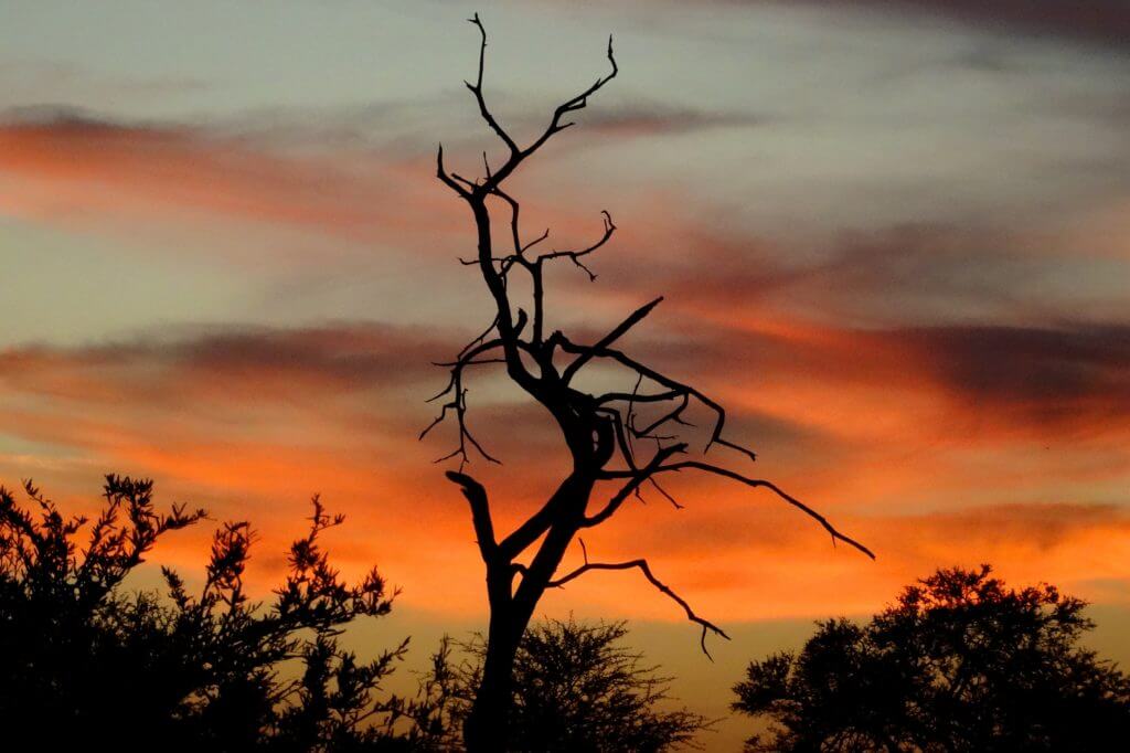 Abendstimmung über Botswana