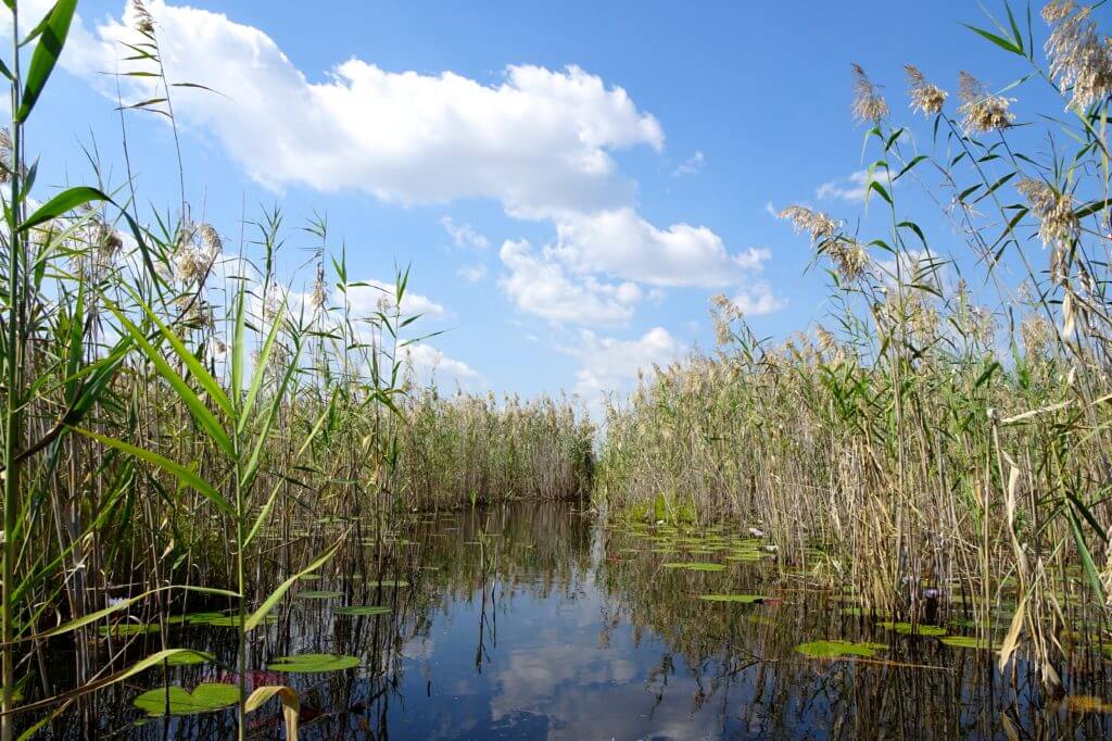 Okavango Delta: Impressionen aus dem Feuchtgebiet