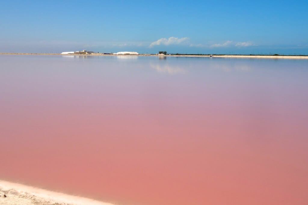 Jahresrückblick Reiseblog Groovy Planet, pinkfarbenes Wasser in Las Coloradas, Mexiko