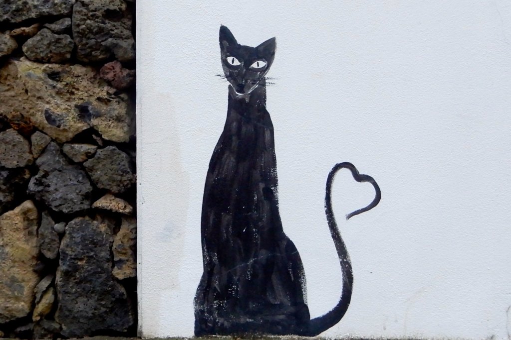 Street Art in Ponta Delgada, Azoreninsel São Miguel. Katzenmotiv.