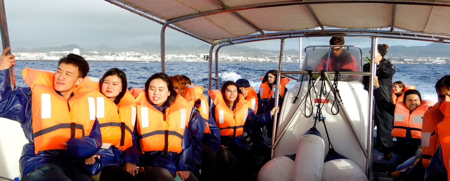Whalewatching vor der Küste von Sao Miguel.