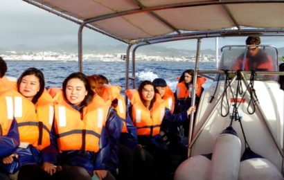 Whalewatching vor der Küste von Sao Miguel.