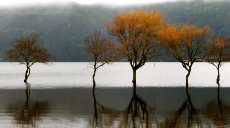 Kratersee Sete Cidades, Azoreninsel Sao Miguel.