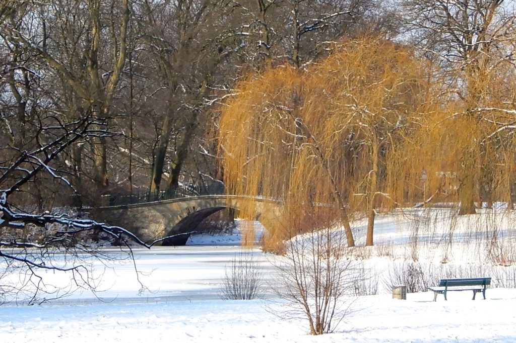Winter in Hannover. Winterstimmung im Georgengarten.