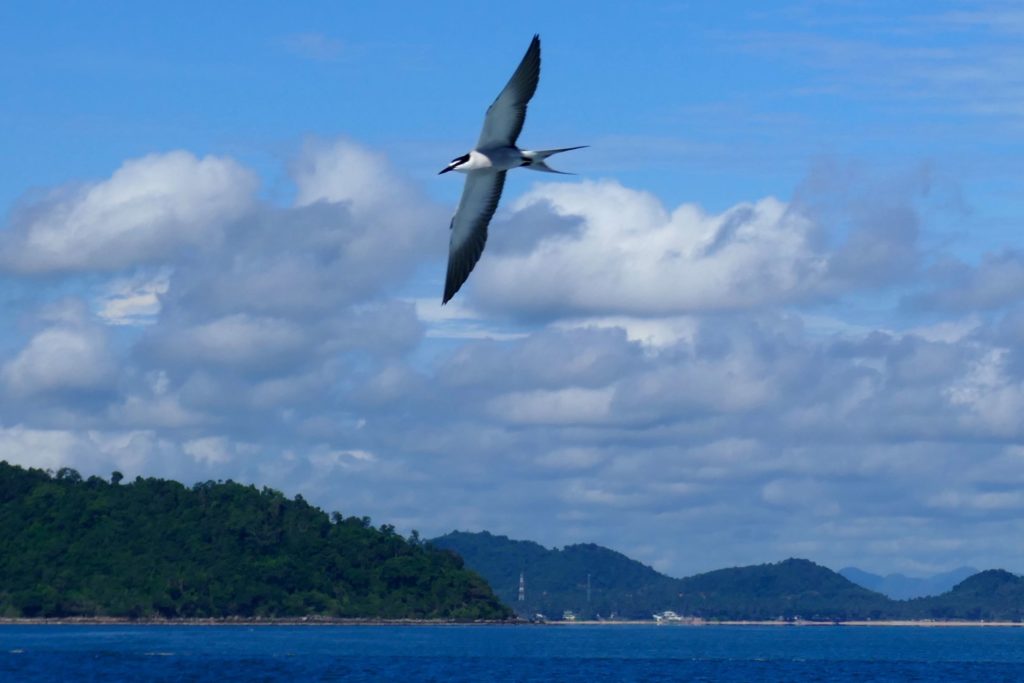 Blick auf die Küste von Chumphon.