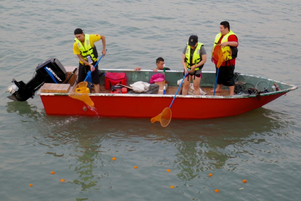 Chap Goh Meh, chinesischer Valentinstag in George Town, Malaysia. Fleißige Helfer fischen die danebengegangenen Orangen wieder aus dem Wasser