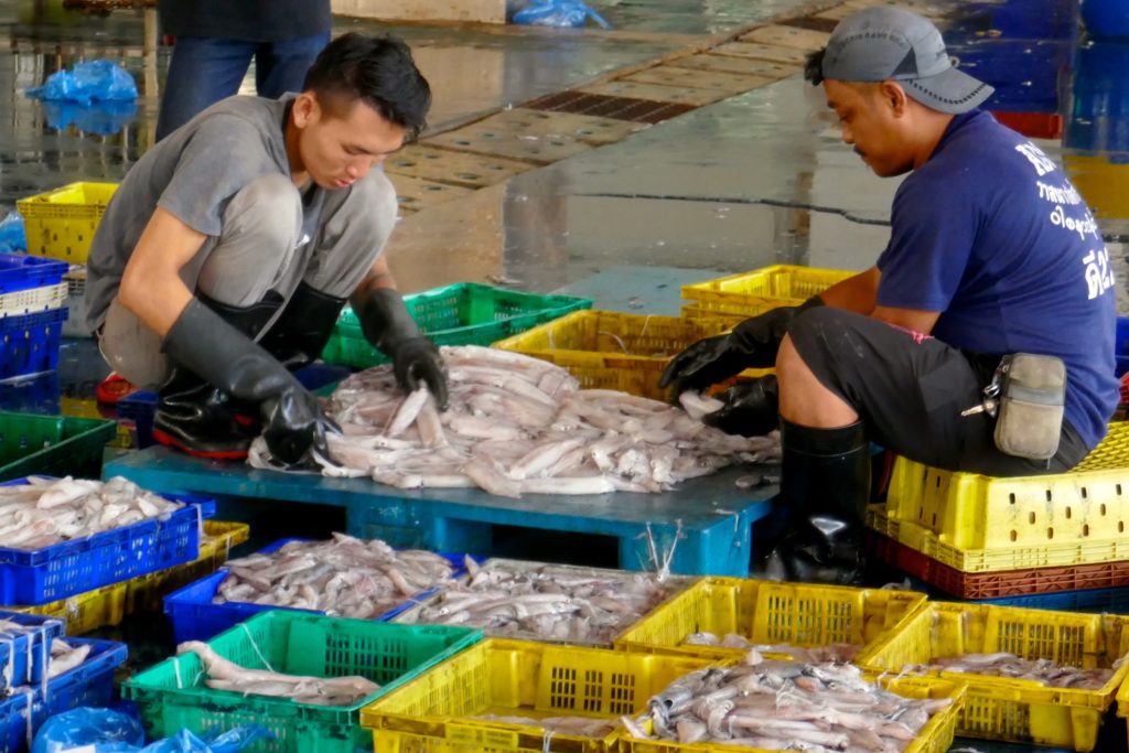 Fleißige Männer auf dem Fischmarkt in Ranong. Sinnvoller Teil der Arbeitskleidung: Gummistiefel.