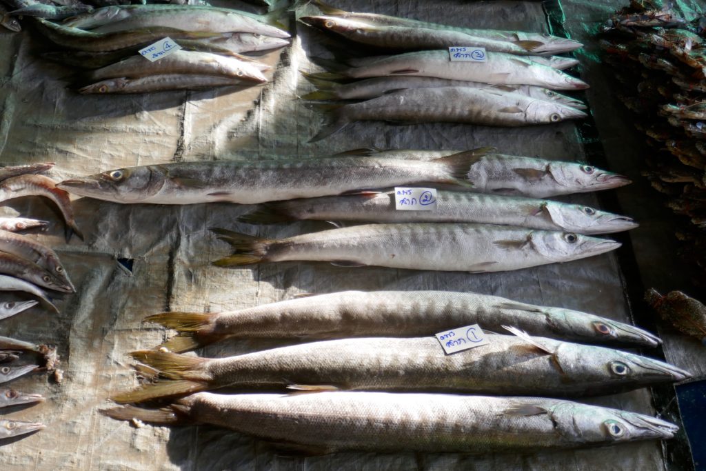 Fische auf dem Fischmarkt von Ranong.