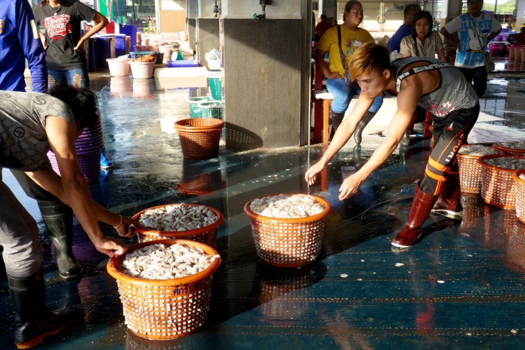 Fischmarkt in Ranong. Verkaufsfertige Tintenfische. 