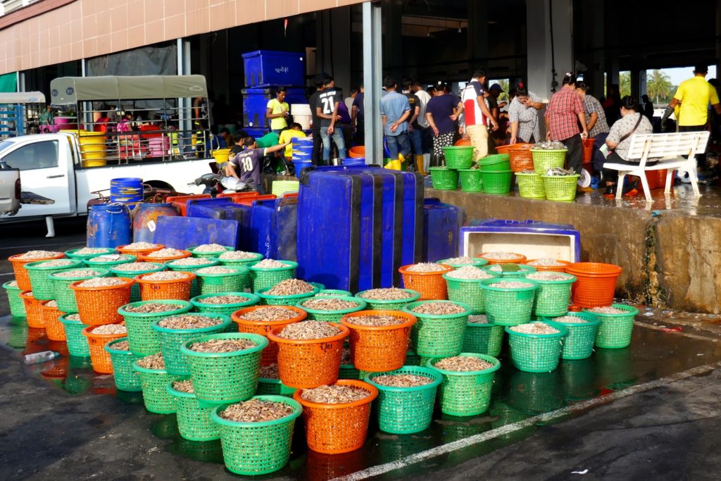 Fischmarkt von Ranong. Fisch und Meeresfrüchte in großen Mengen.