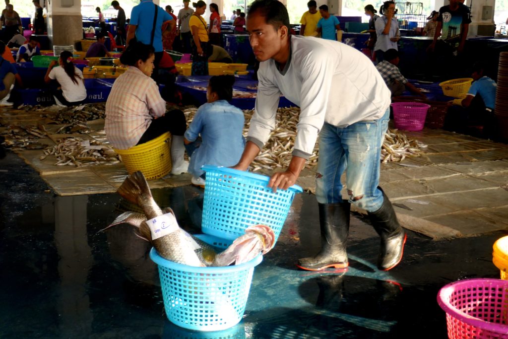 Fischmarkt von Ranong. Überall wird kräftig angepackt.