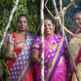 Pongal, indisches Erntedankfest in George Town, Malaysia. Frauen in bunten Saris.