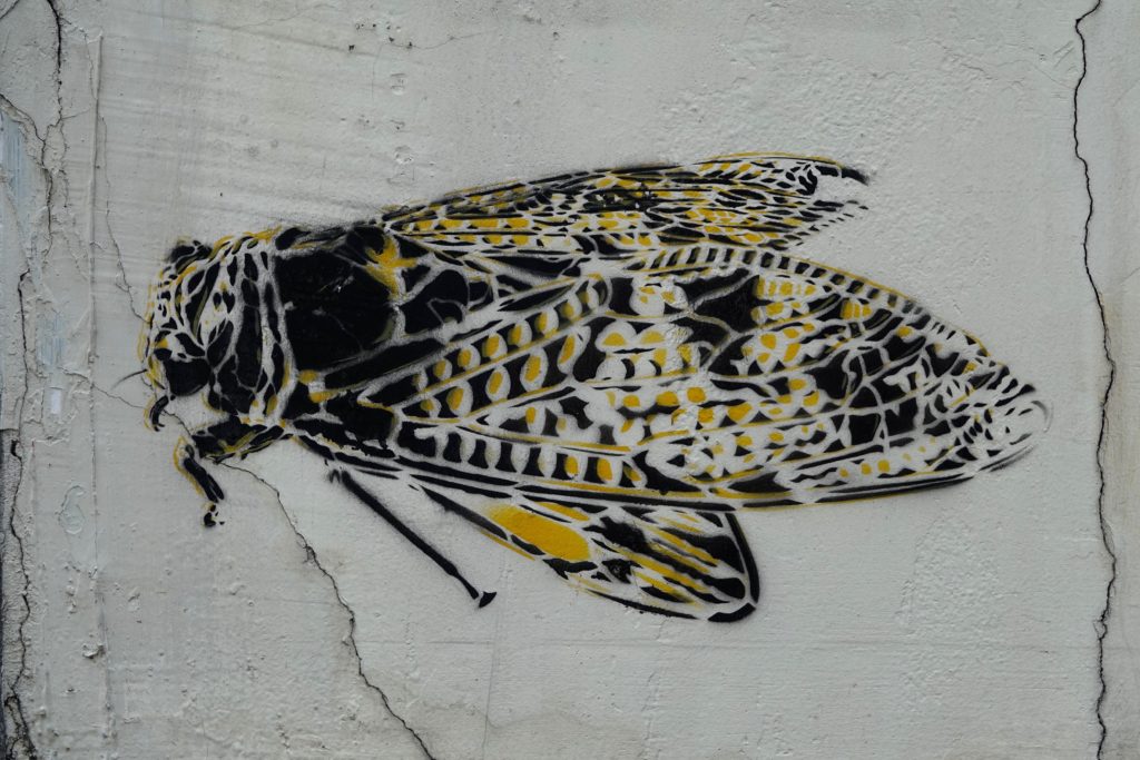 Street Art in Bangkok: Insekten-Stencil von Artiste Ouvrier.