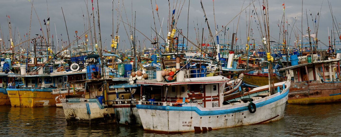 Fischerboote im Hafen von Beruwala an Sri Lankas Westküste bei bewölktem Himmel, bunte Boote mit traditionellen Angeln und Flaggen dicht gedrängt im Wasser