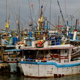 Fischerboote im Hafen von Beruwala an Sri Lankas Westküste bei bewölktem Himmel, bunte Boote mit traditionellen Angeln und Flaggen dicht gedrängt im Wasser