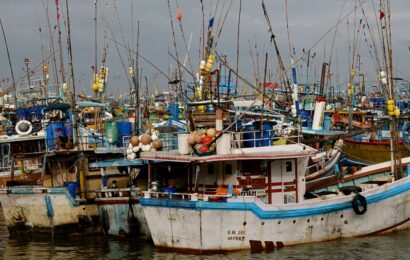Fischerboote im Hafen von Beruwala an Sri Lankas Westküste bei bewölktem Himmel, bunte Boote mit traditionellen Angeln und Flaggen dicht gedrängt im Wasser