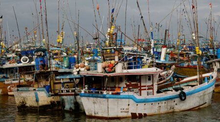 Fischerboote im Hafen von Beruwala an Sri Lankas Westküste bei bewölktem Himmel, bunte Boote mit traditionellen Angeln und Flaggen dicht gedrängt im Wasser
